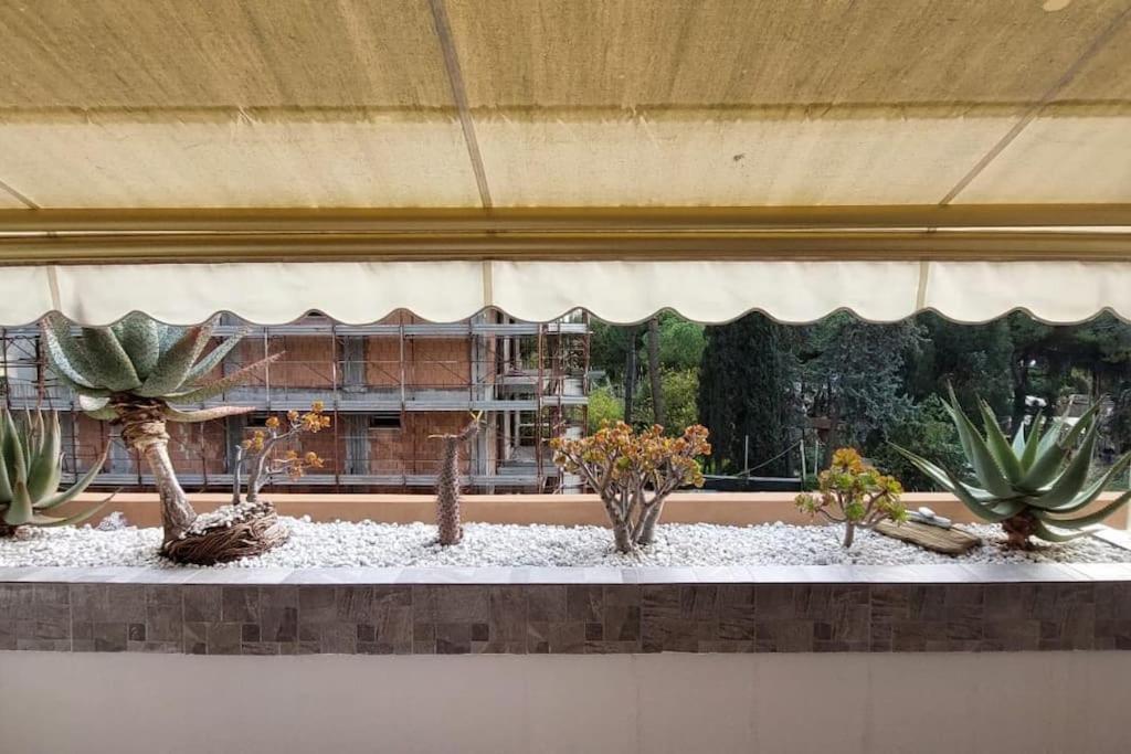 Appartement Ampio Monolocale Con Terrazzo - A 2 Passi Dal Mare à Latte Extérieur photo